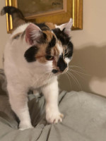 /album/265/whatsapp-image-2026-03-25-at-19-49-27-jpeg/